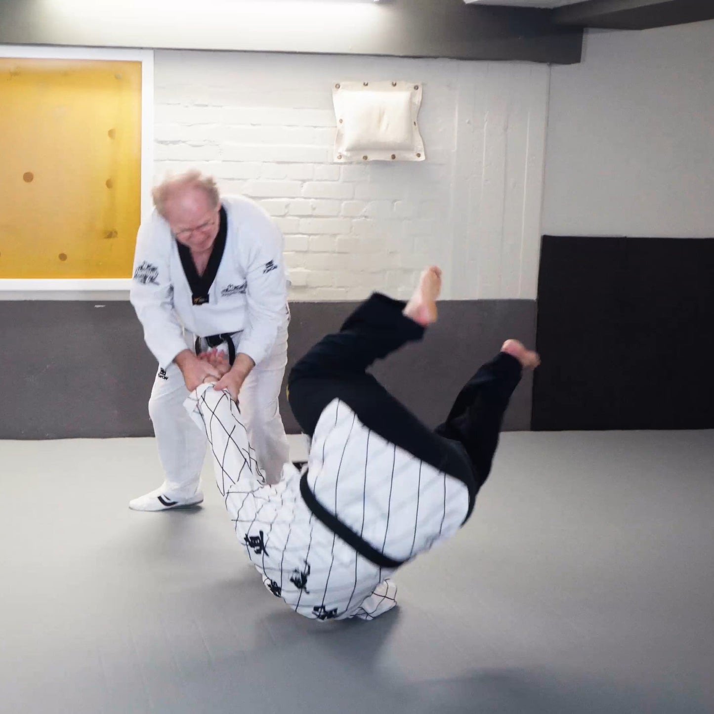 Rollmatte - DichtePlus | 4cm Dicke | verschiedene Längen |  Just-Mats