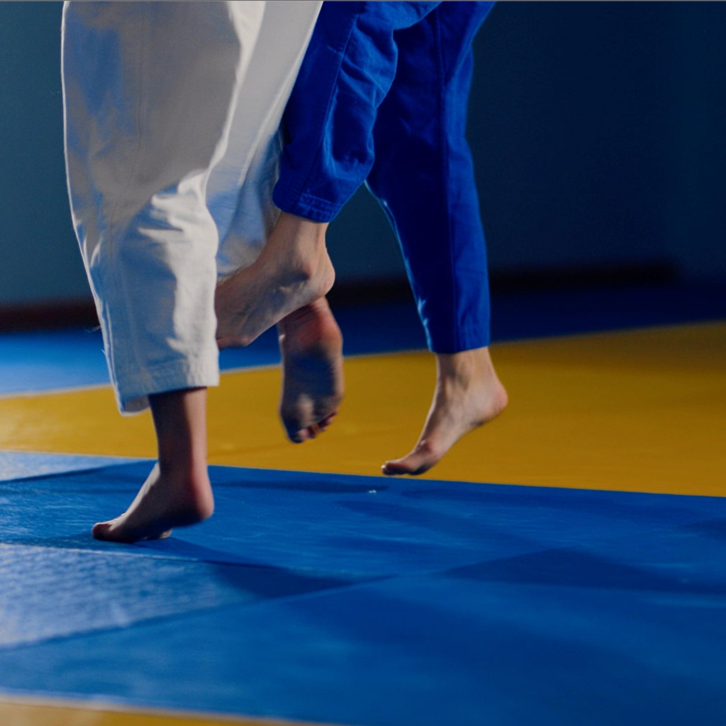 Tatami Judomatte |  Kampfsportmatte | Just-Mats