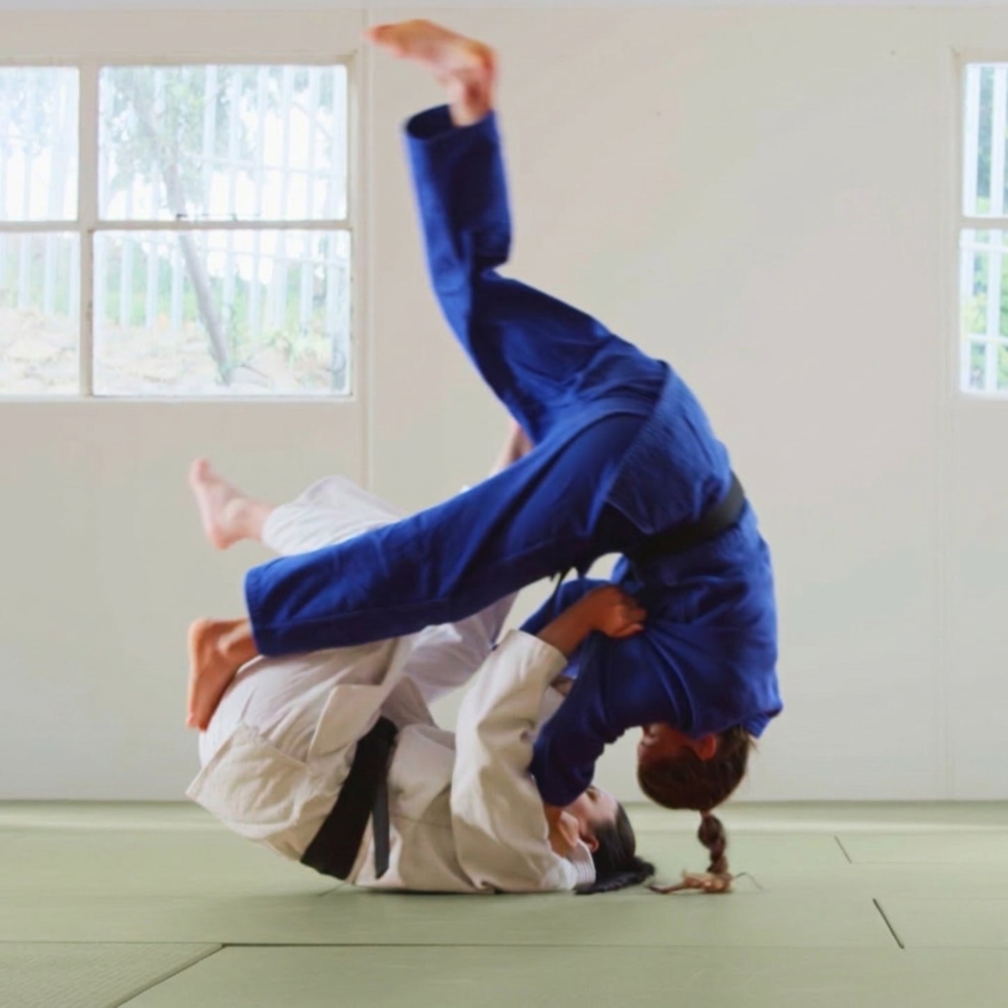 Tatami Judomatte |  Kampfsportmatte | Just-Mats